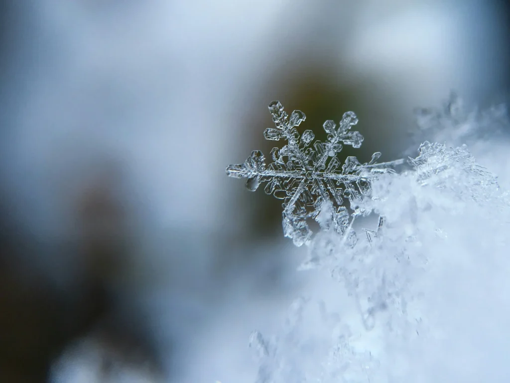 Winter freeze damages asphalt