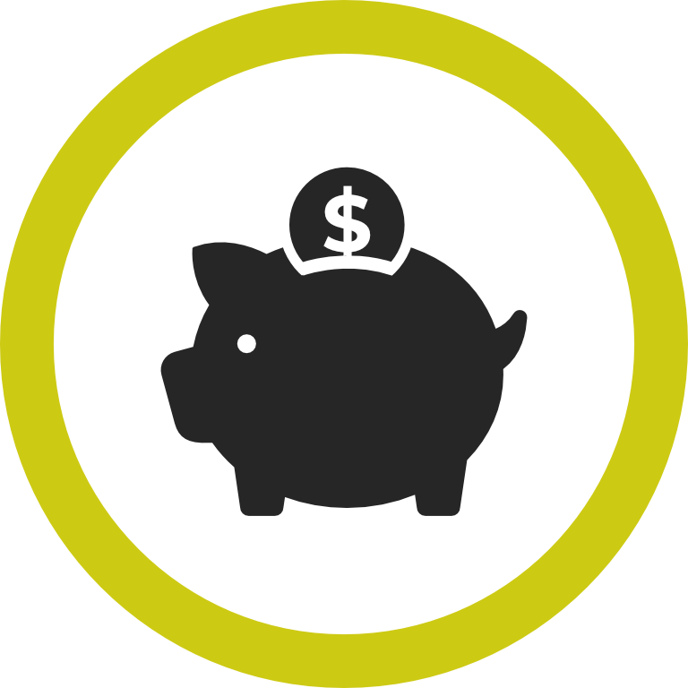 Save Money Icon